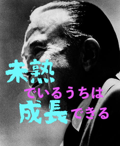 本日の名言 未熟でいるうちは成長できる Byレイ クロックの意味 解釈 教訓とは 適当に生きる 旅も日常の日々も自由に生きる